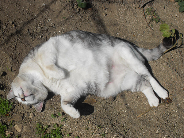 CLICK FOR NEXT IMAGE